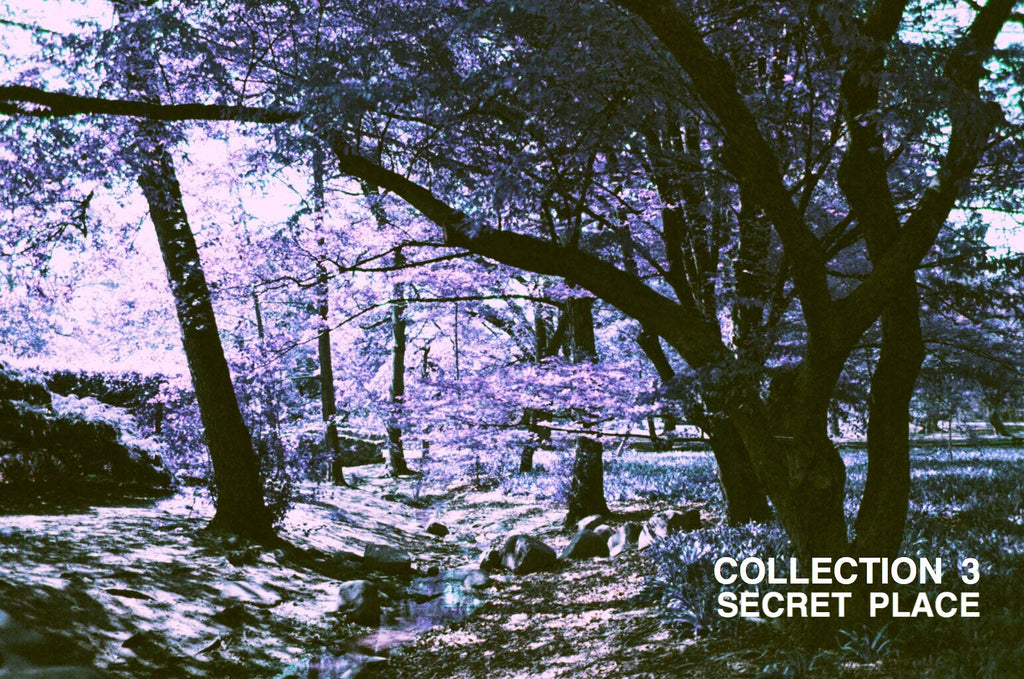 COLLECTION 3: SECRET PLACE